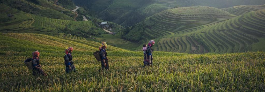 People farming in a field